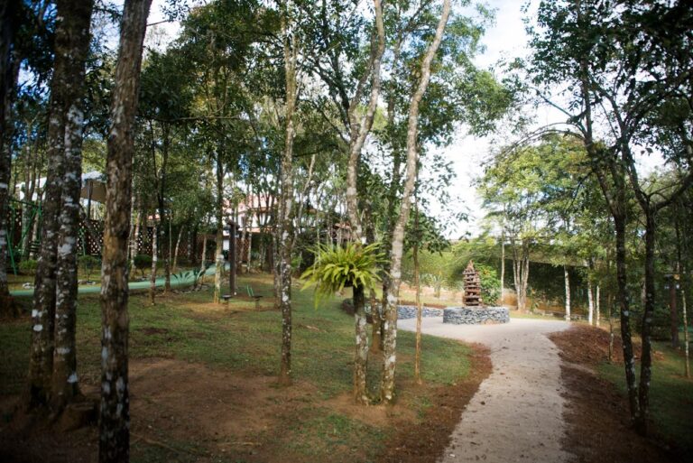 bosque bambini 4