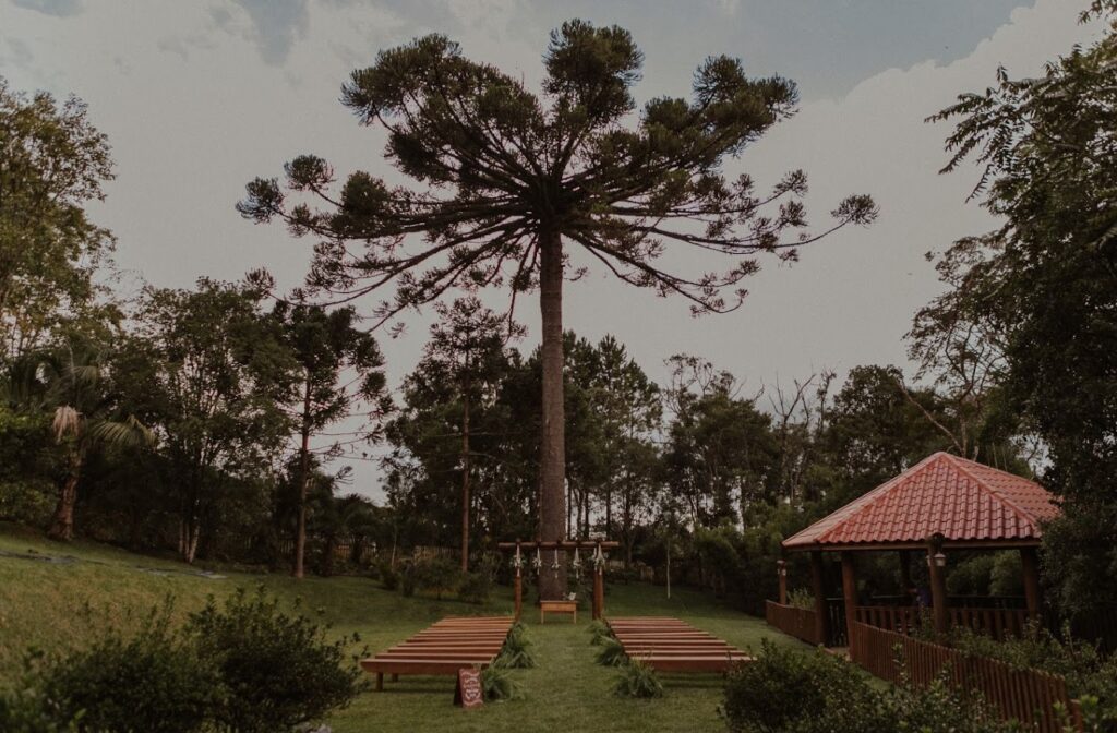 Um refúgio natural, emoldurado por árvores nativas, jardins complantas ornamentais e um imponente pinheiro centenário que dácharme e protagonismo ao cenário.