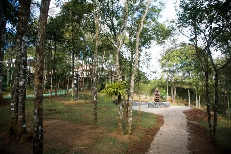 bosque bambini 4