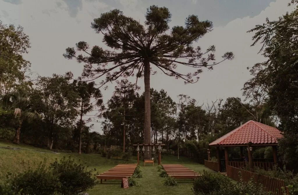 Um refúgio natural, emoldurado por árvores nativas, jardins complantas ornamentais e um imponente pinheiro centenário que dácharme e protagonismo ao cenário.