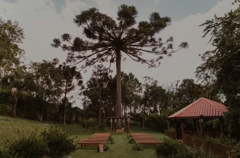 Um refúgio natural, emoldurado por árvores nativas, jardins complantas ornamentais e um imponente pinheiro centenário que dácharme e protagonismo ao cenário.